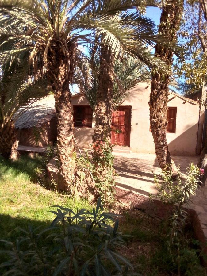 Riad Tabhirte Agdz Exterior photo