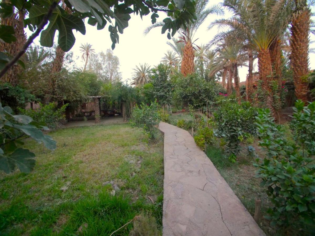 Riad Tabhirte Agdz Exterior photo