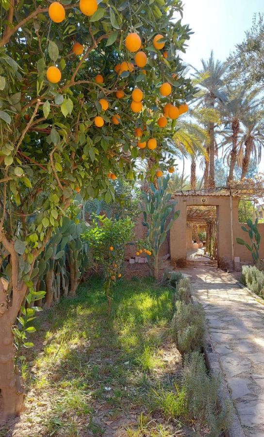 Riad Tabhirte Agdz Exterior photo